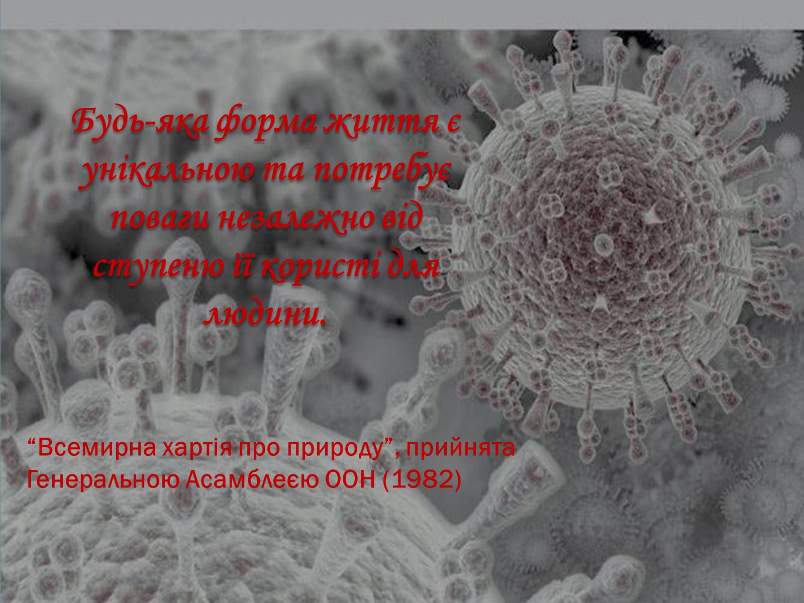 Презентація на тему «Віруси» (варіант 8) - Слайд #10