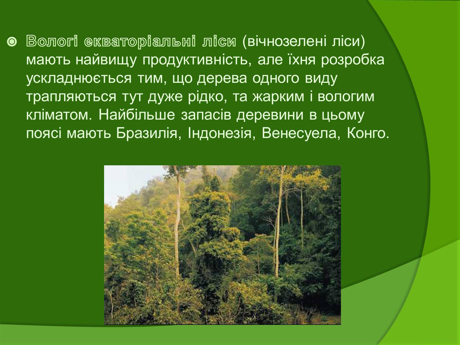 Презентація на тему «Лісові ресурси» (варіант 1) - Слайд #7
