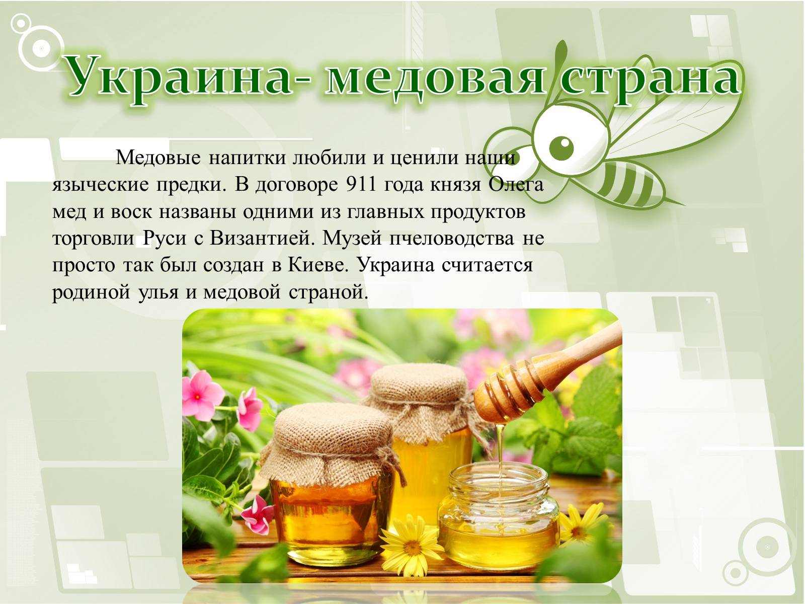 Презентація на тему «Национальный музей пчеловодства Украины» - Слайд #4
