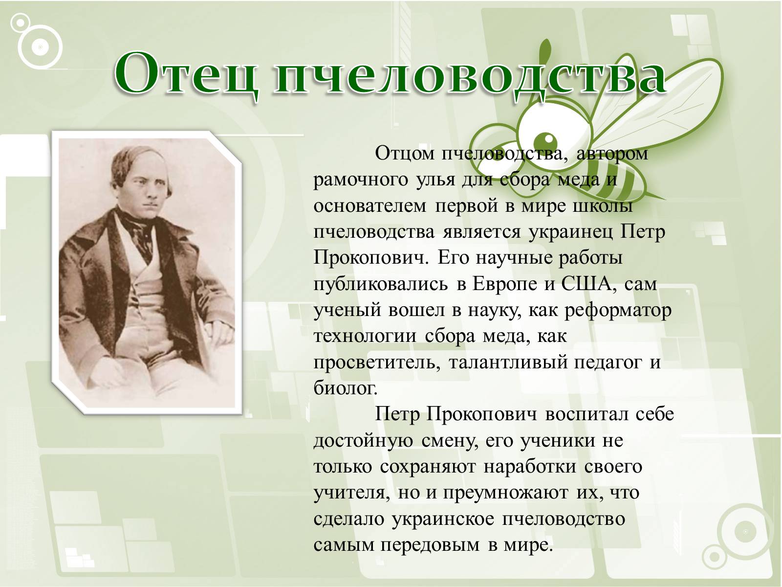 Презентація на тему «Национальный музей пчеловодства Украины» - Слайд #5