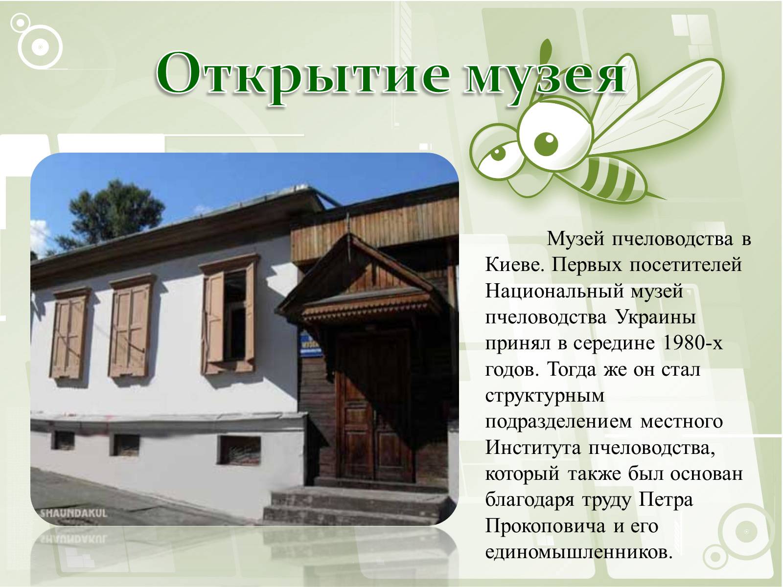 Презентація на тему «Национальный музей пчеловодства Украины» - Слайд #6