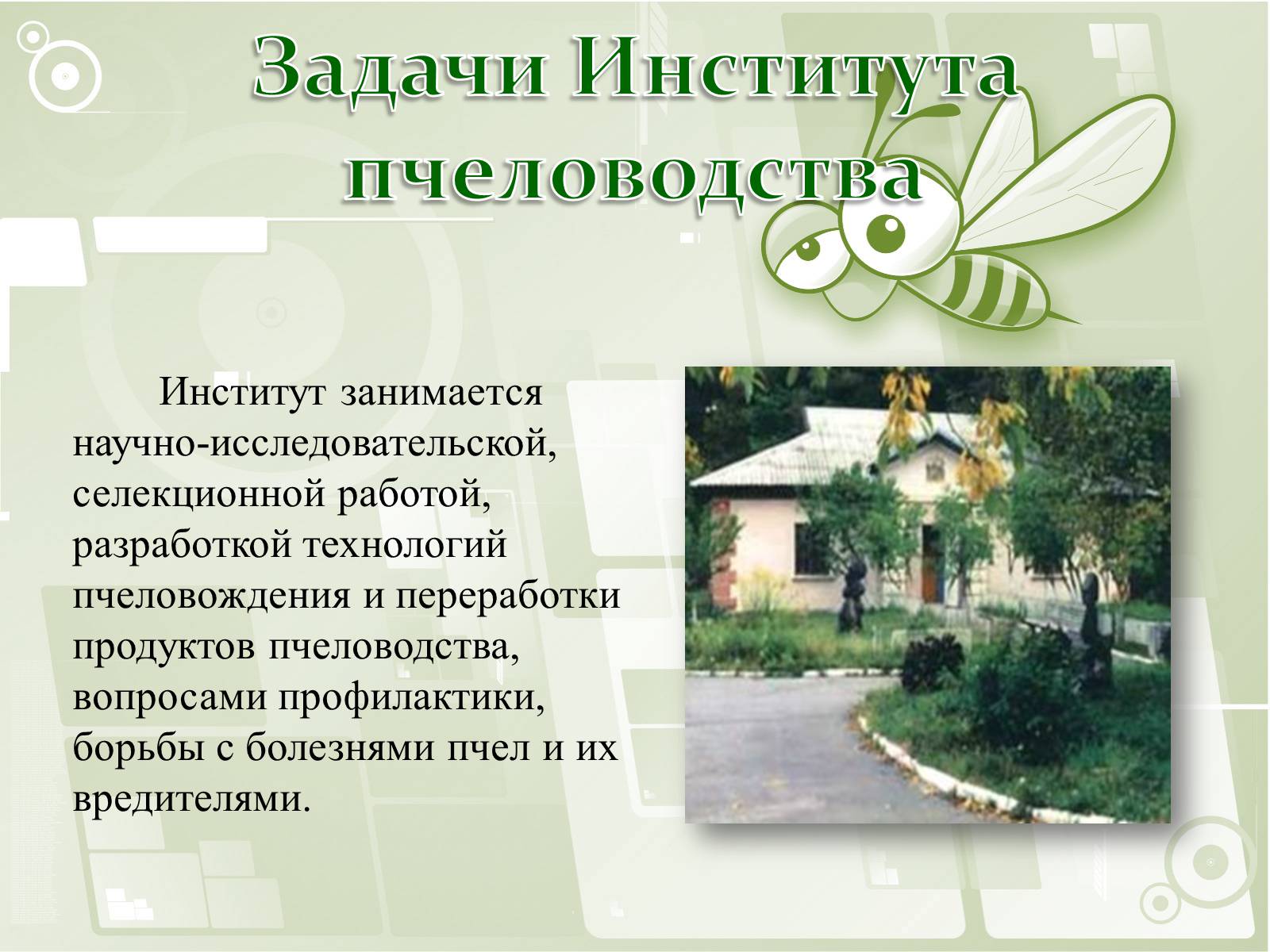 Презентація на тему «Национальный музей пчеловодства Украины» - Слайд #7