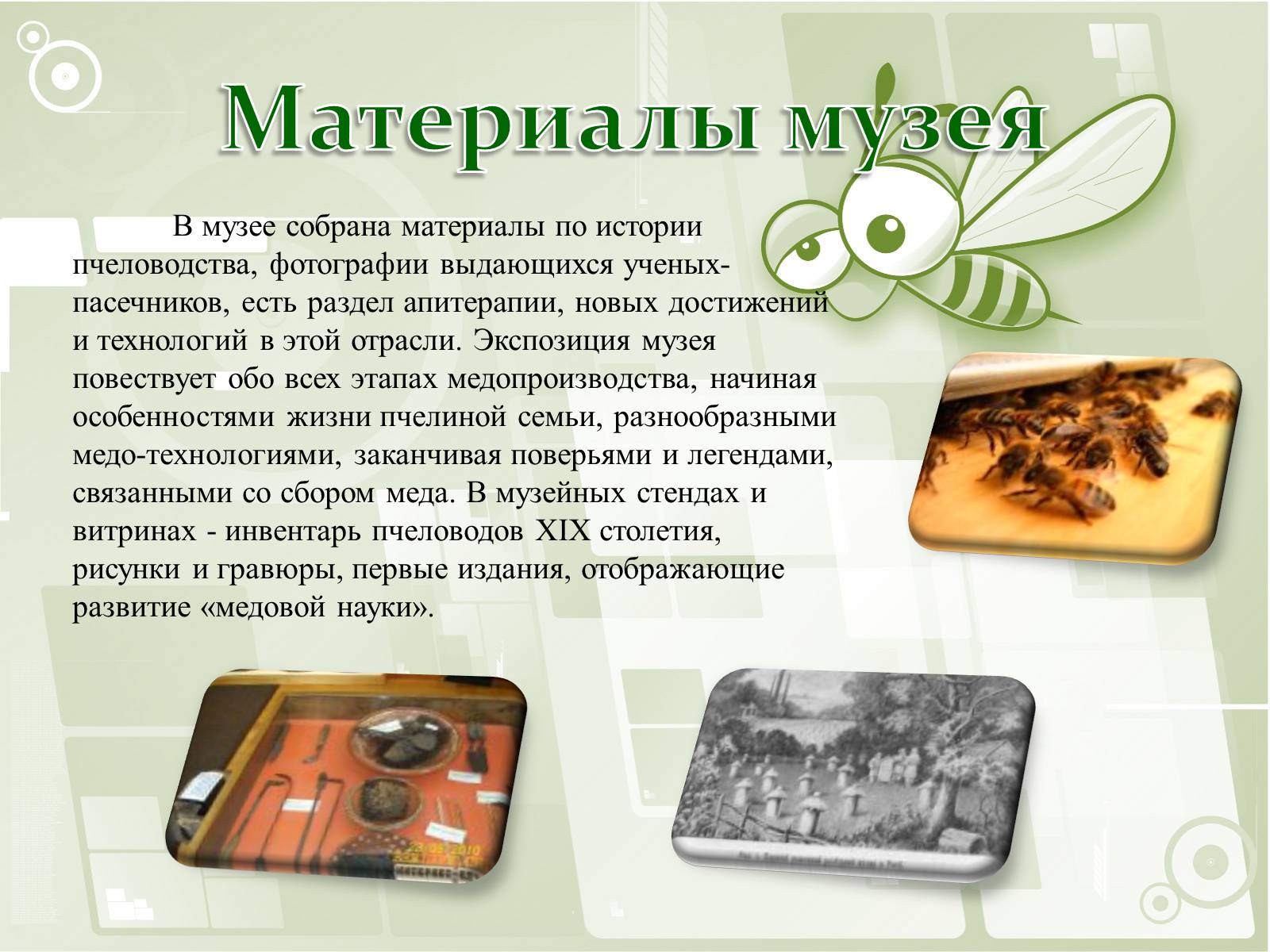 Презентація на тему «Национальный музей пчеловодства Украины» - Слайд #8