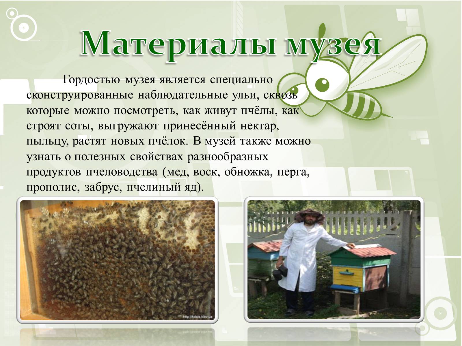Презентація на тему «Национальный музей пчеловодства Украины» - Слайд #9