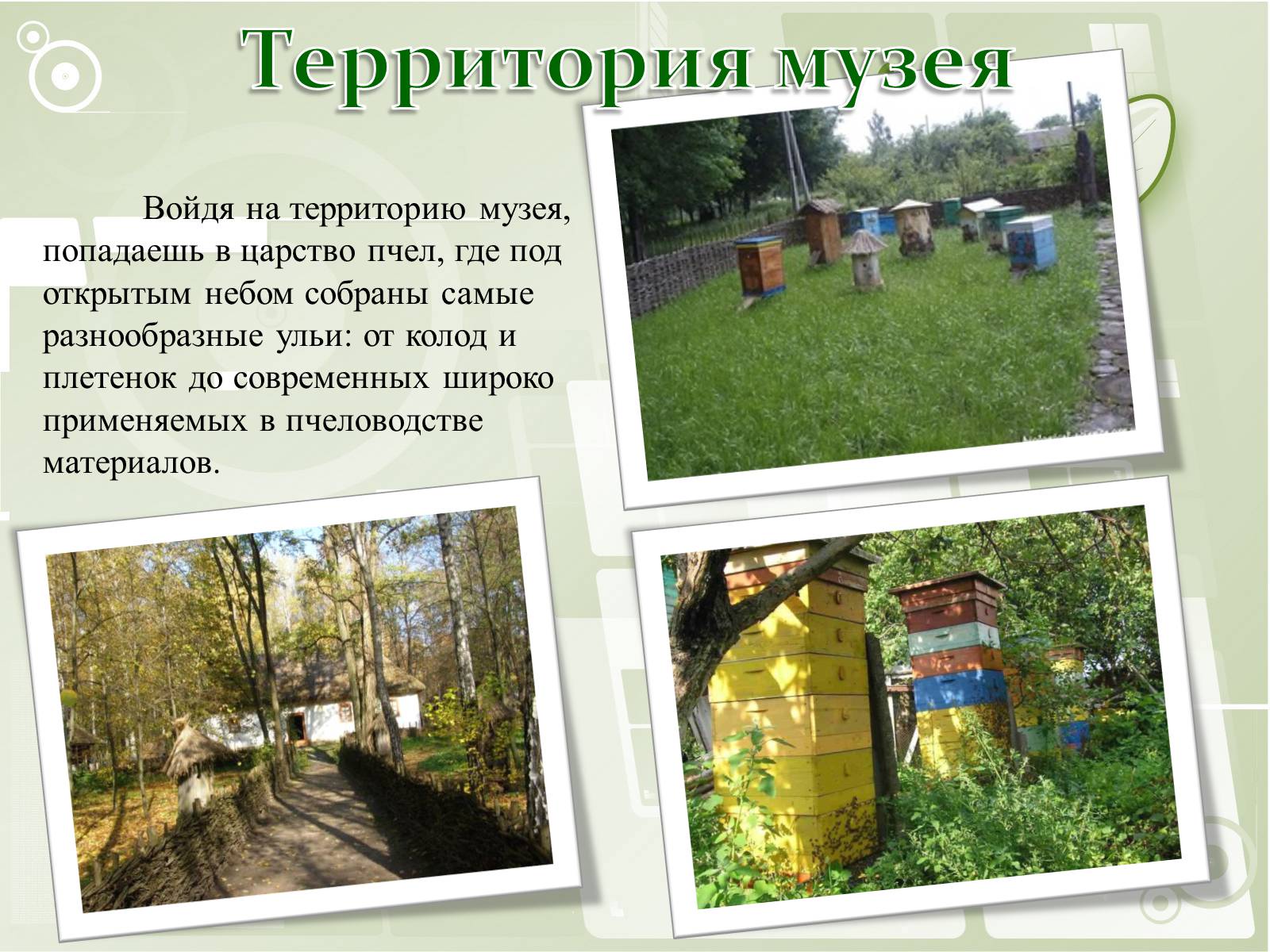Презентація на тему «Национальный музей пчеловодства Украины» - Слайд #10