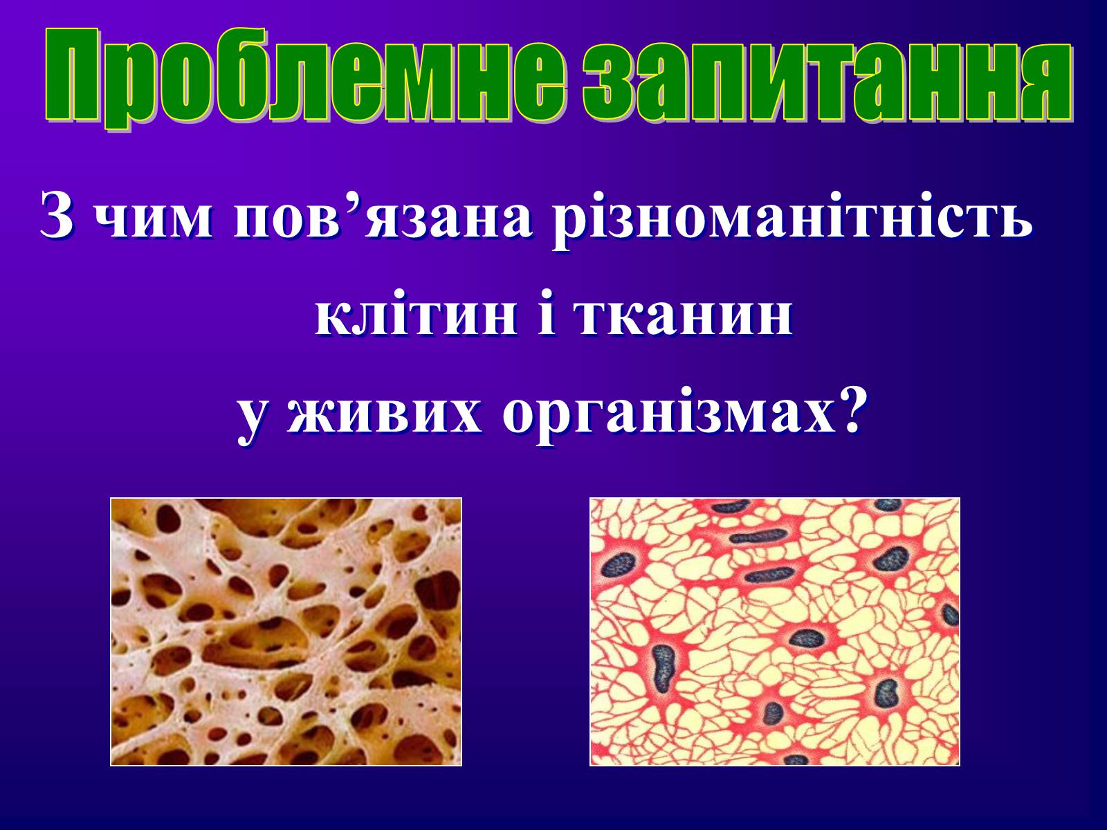 Презентація на тему «Різноманітність тканин живих організмів» - Слайд #3