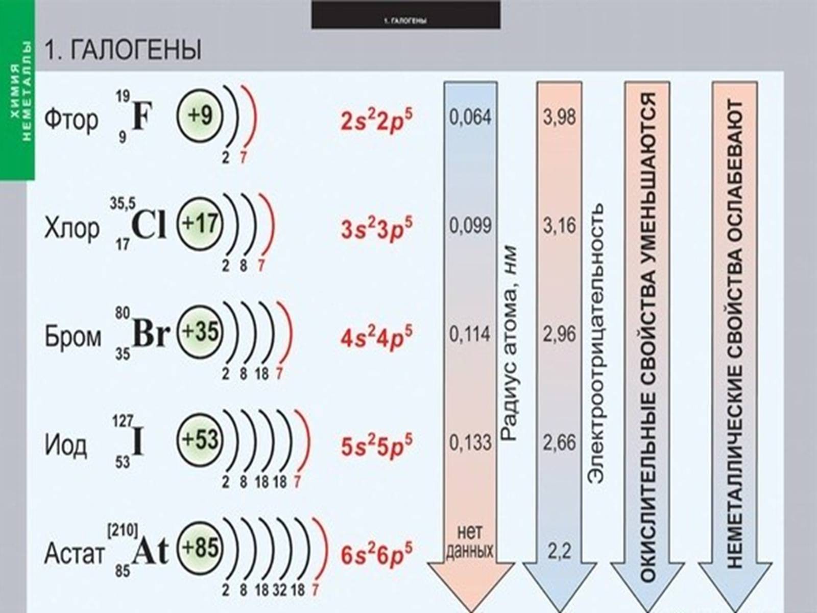 Размеры галогенов. Формула фтор строение электронных оболочек. Составьте схему электронного строения атома брома. Галогены. Электронная конфигурация галогенов.