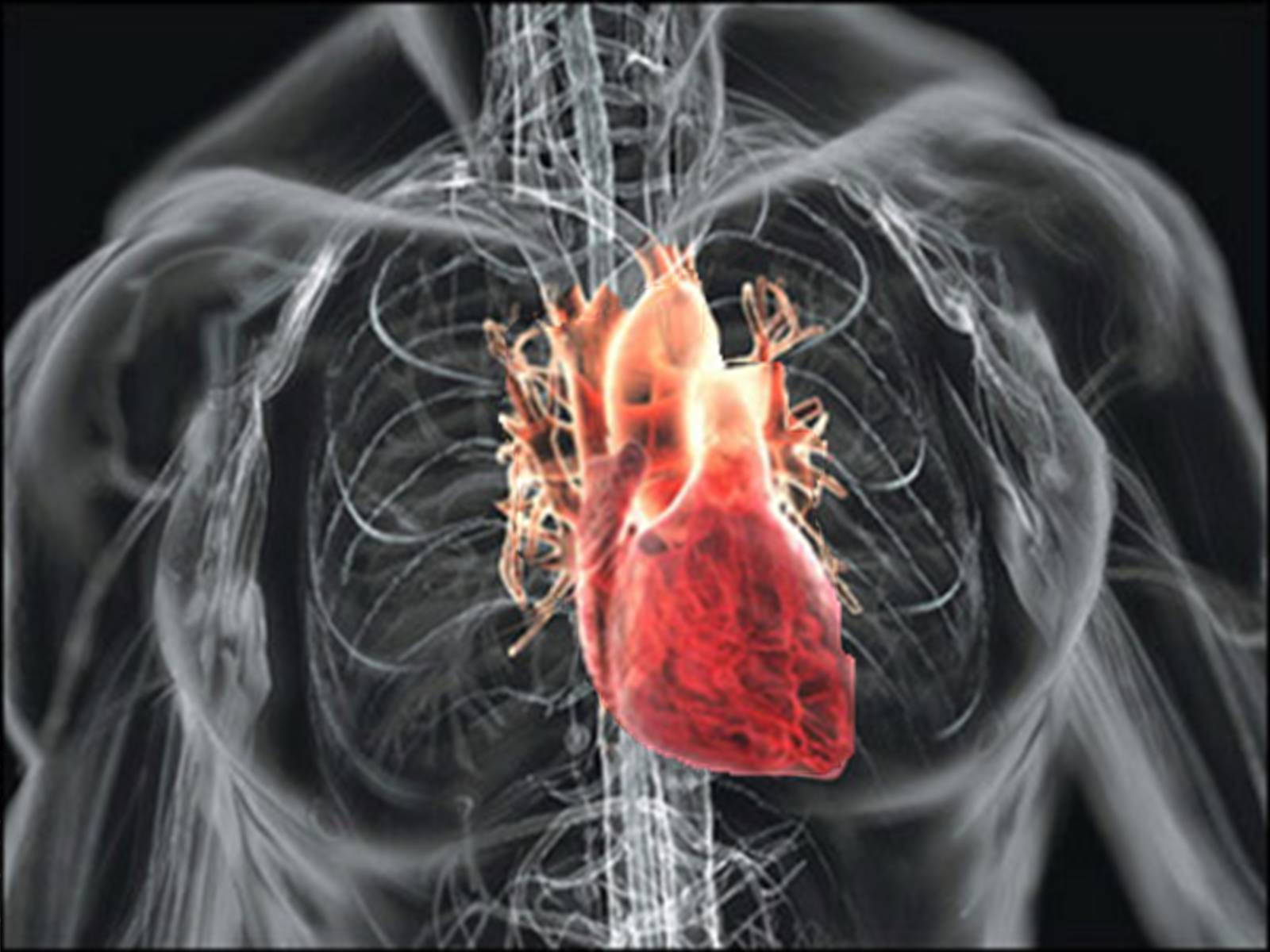 Презентація на тему «Методи відновлення кровообігу в уражених атеросклерозом коронарних артеріях при ішемічній хворобі серця» - Слайд #3