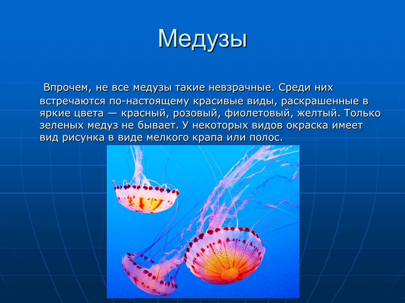 Презентація на тему «Медузи» (варіант 2) - Слайд #18
