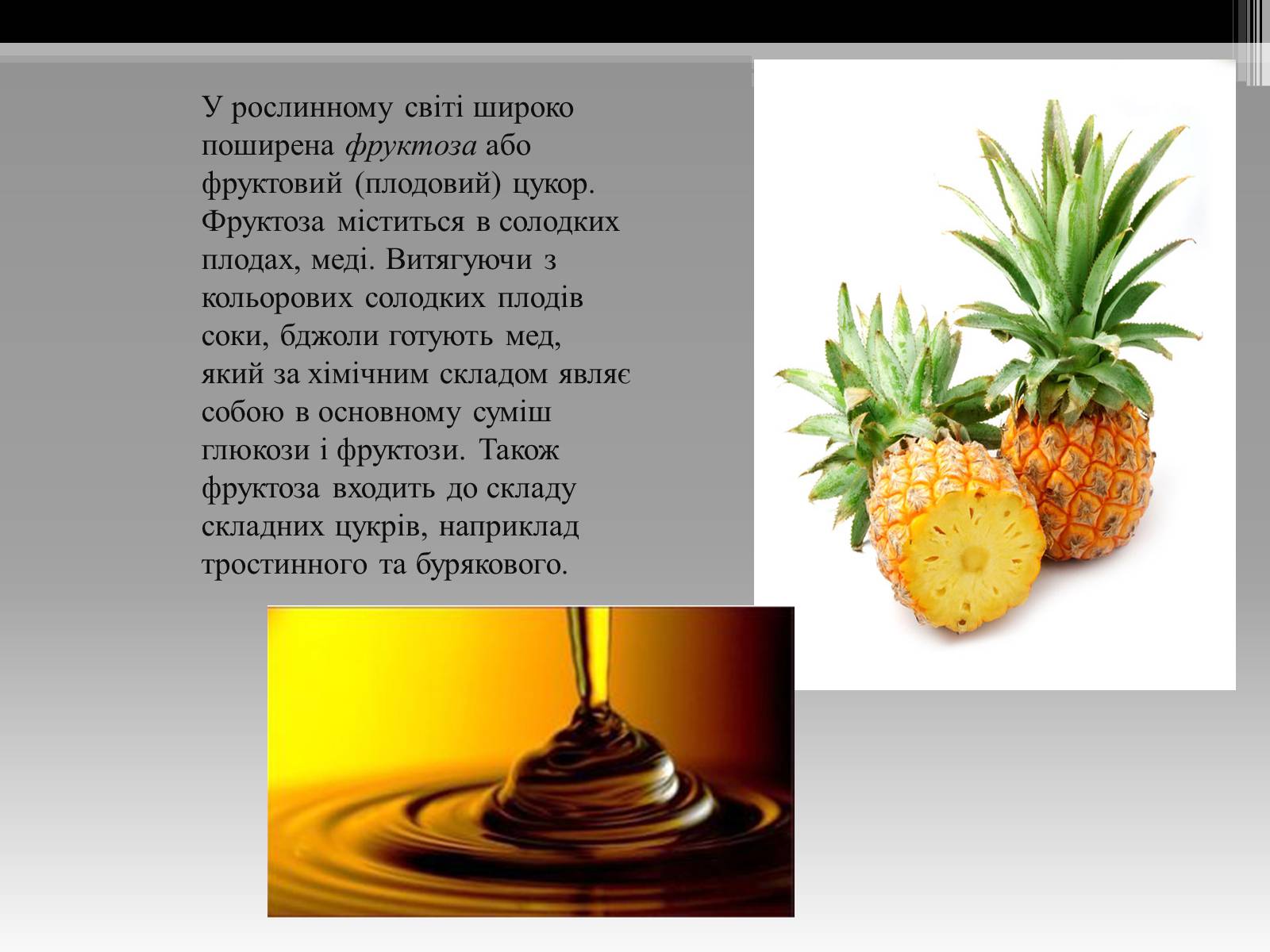 Презентація на тему «Вуглеводи як компоненти їжі, їх роль у житті людини» (варіант 20) - Слайд #5