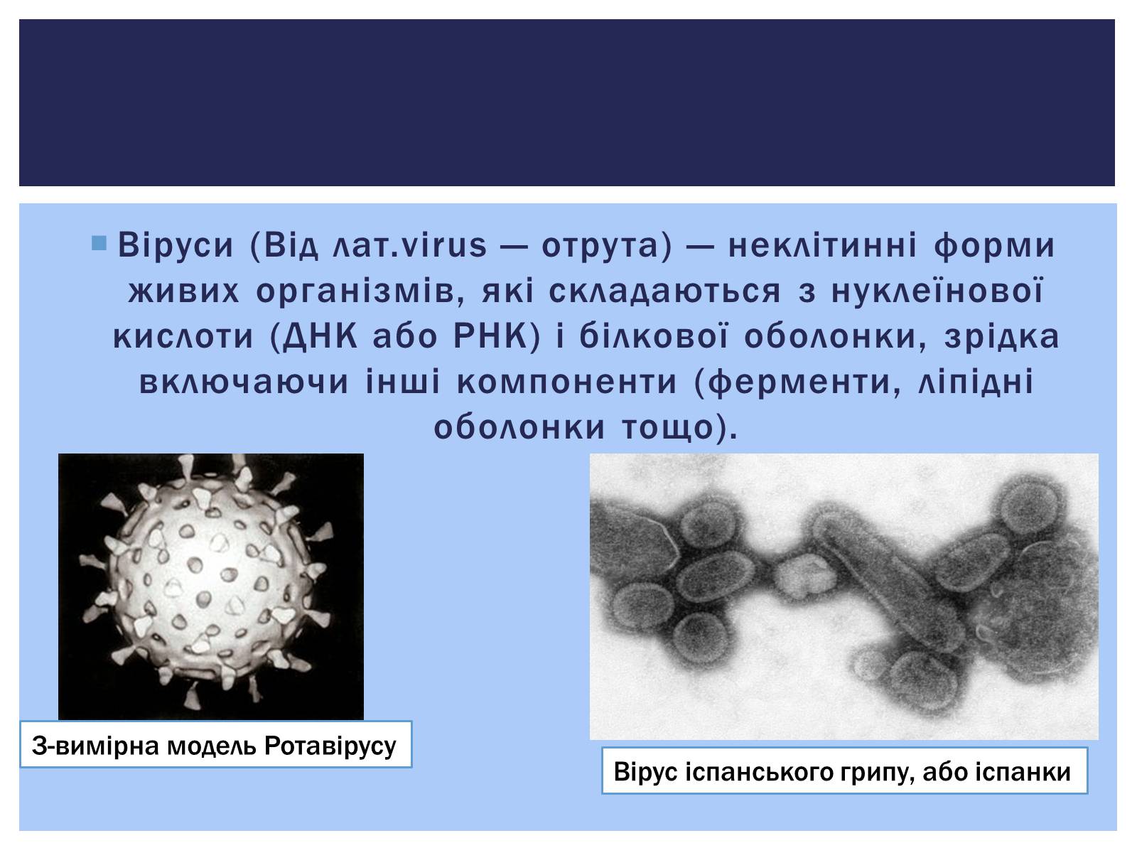 Презентація на тему «Роль вірусів у житті людини. Вірусні інфекції людини і тварин.» - Слайд #2