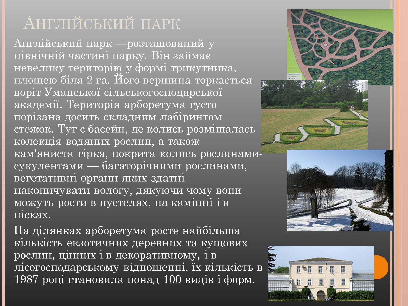 Презентація на тему «Національний дендрологічний парк «Софіївка»» (варіант 1) - Слайд #15