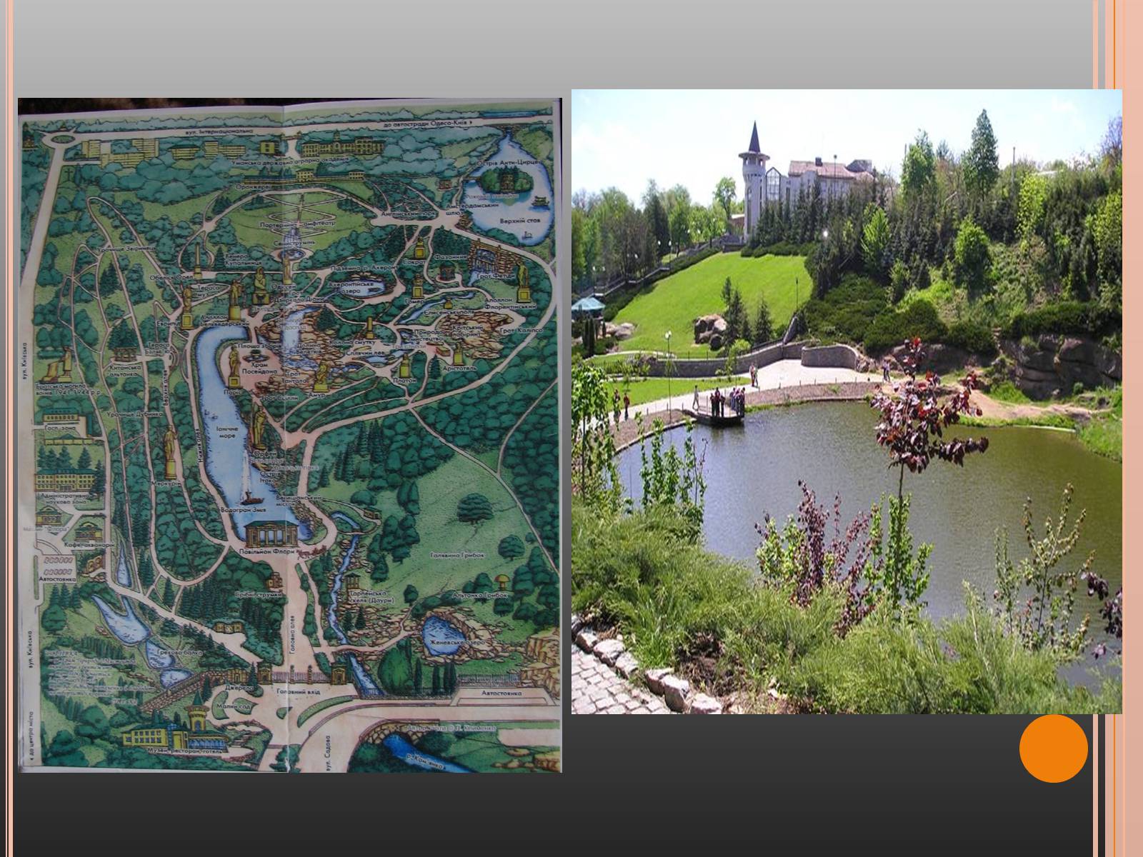 Презентація на тему «Національний дендрологічний парк «Софіївка»» (варіант 1) - Слайд #16