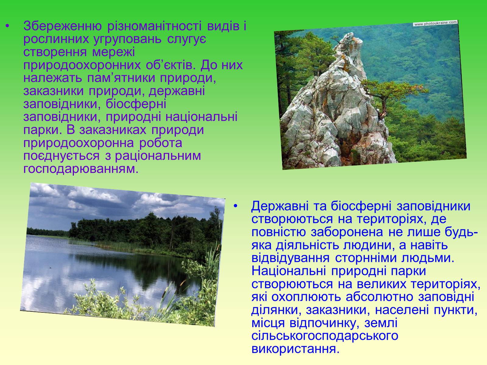 Презентація на тему «Охорона рослинного світу» - Слайд #9
