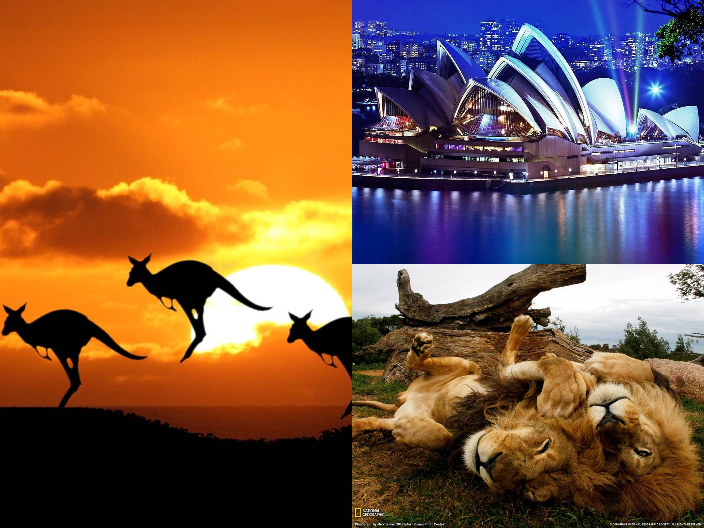 Презентація на тему «Australia» (варіант 4) - Слайд #7