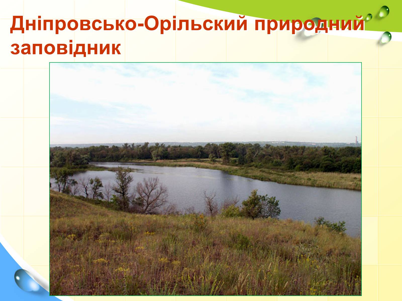 Презентація на тему «Природні заповідники України» (варіант 5) - Слайд #13