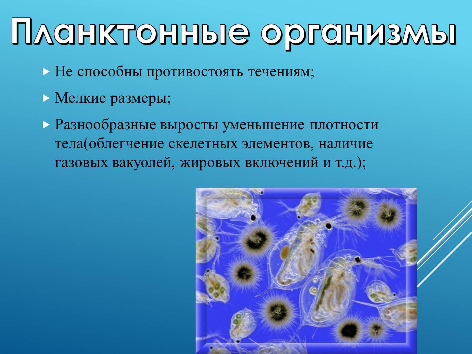 Презентація на тему «Адаптация организмов к жизни в водной среде» - Слайд #6