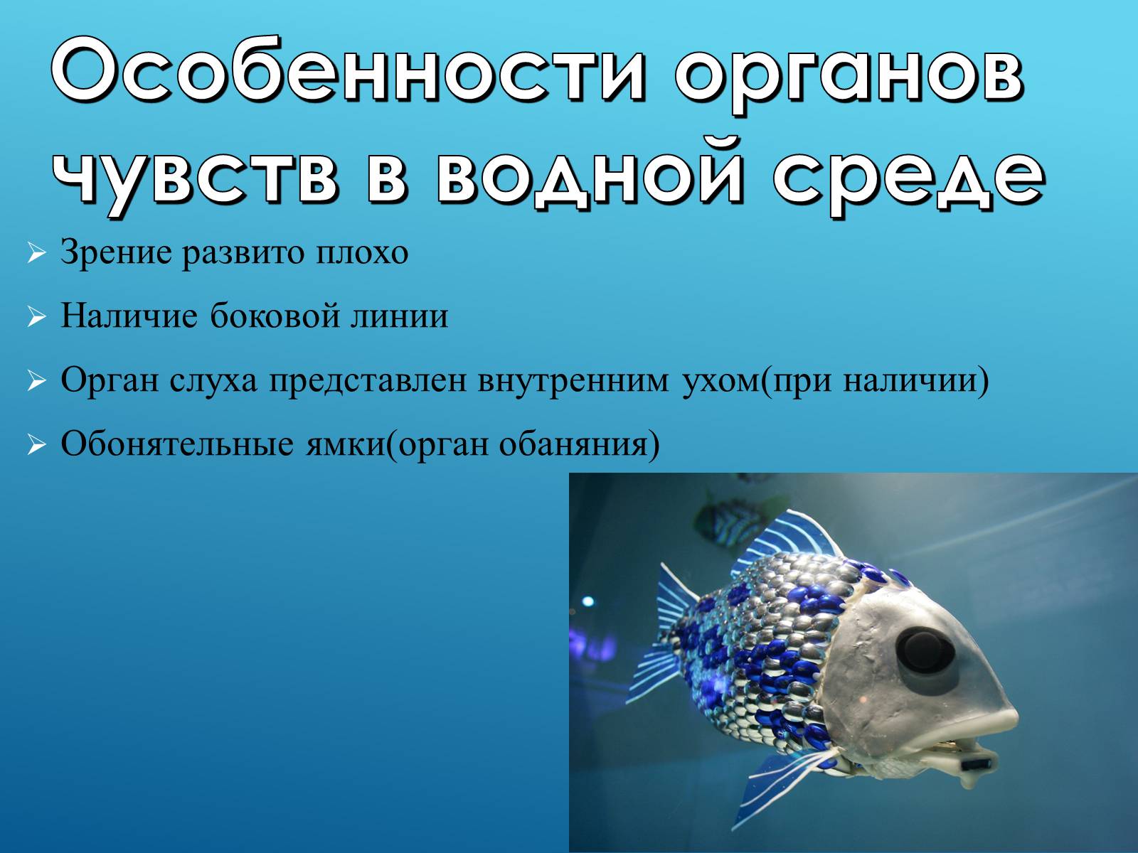 Презентація на тему «Адаптация организмов к жизни в водной среде» - Слайд #12