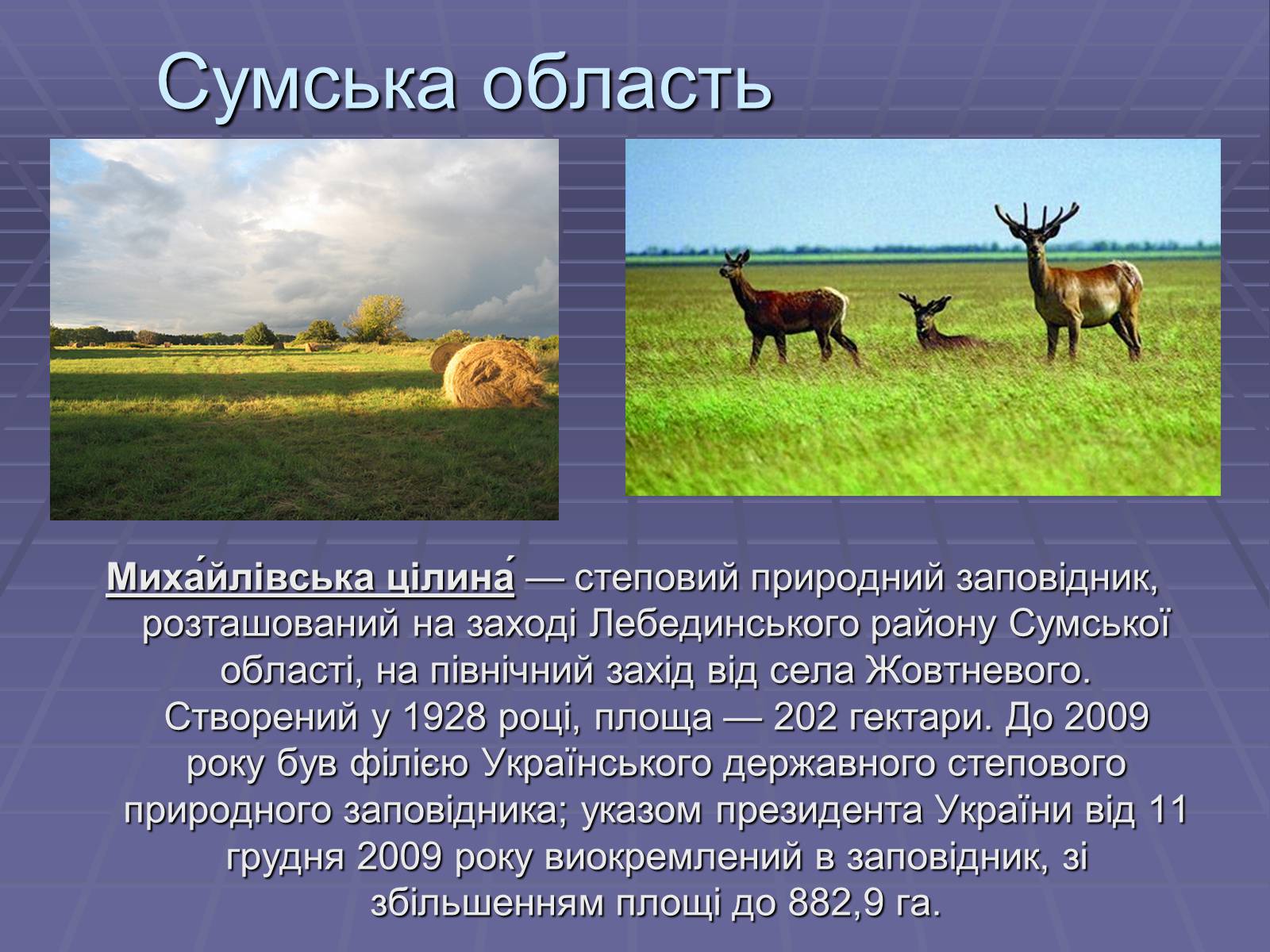 Презентація на тему «Україна» (варіант 5) - Слайд #32