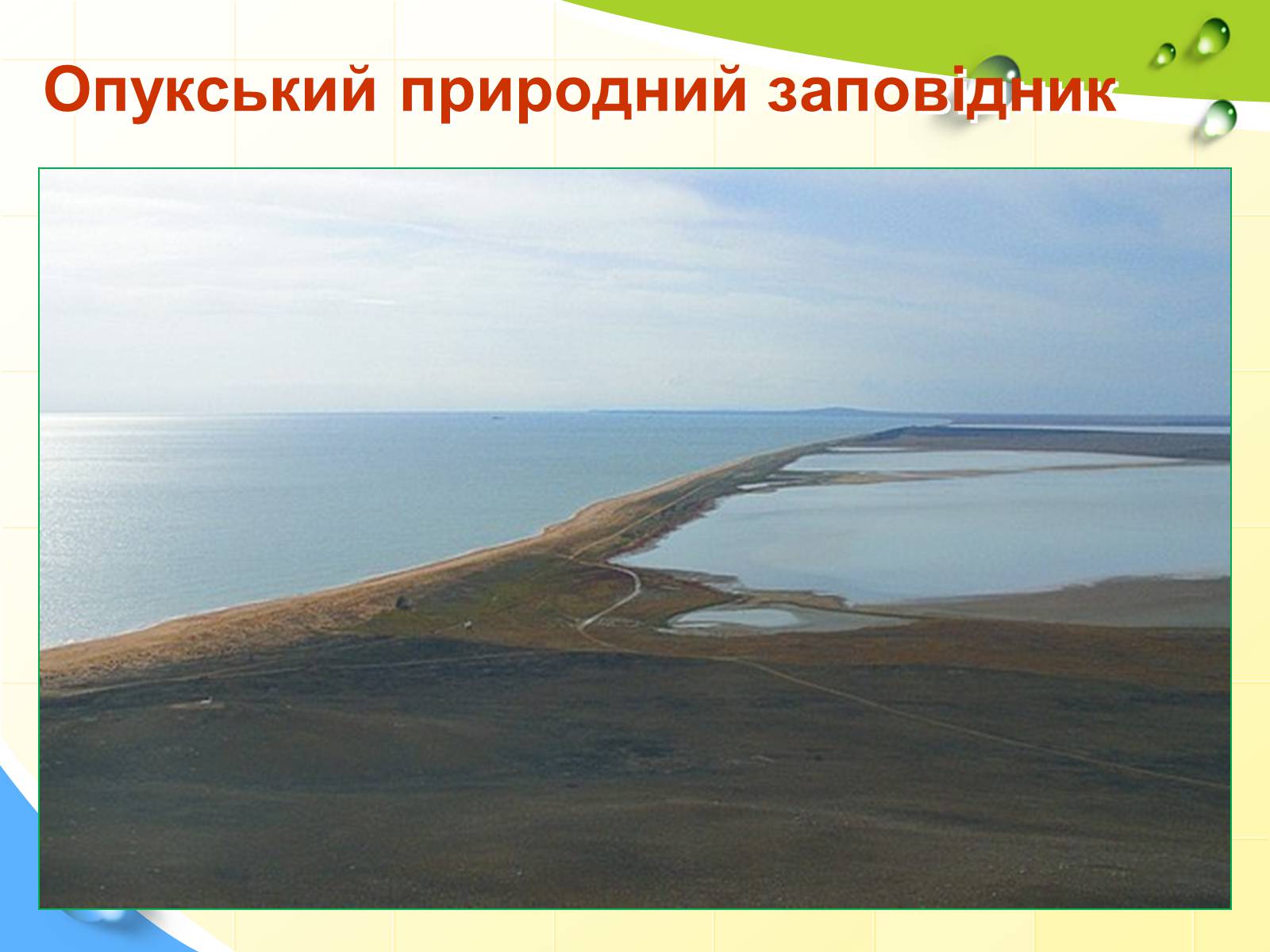 Презентація на тему «Природні заповідники України» (варіант 5) - Слайд #36