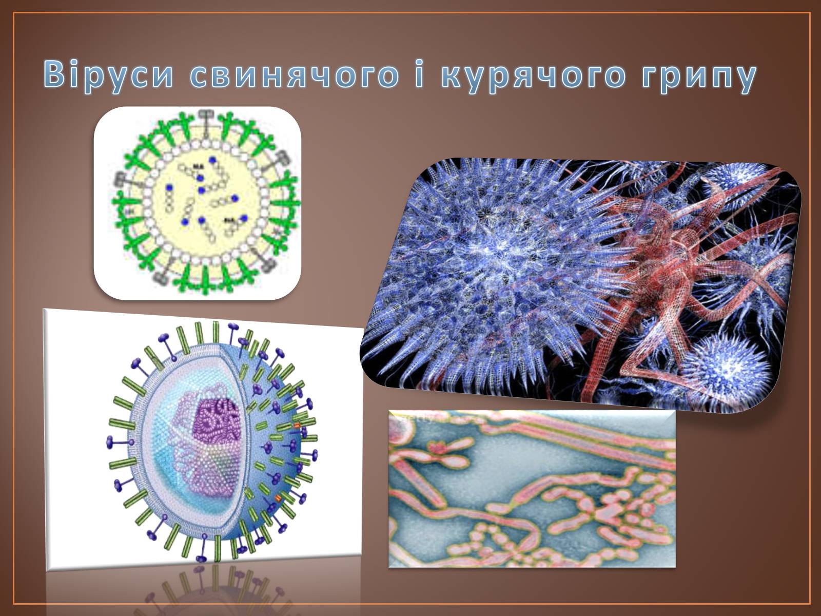 Презентація на тему «Роль вірусів у природі і житті людини» (варіант 1) - Слайд #10