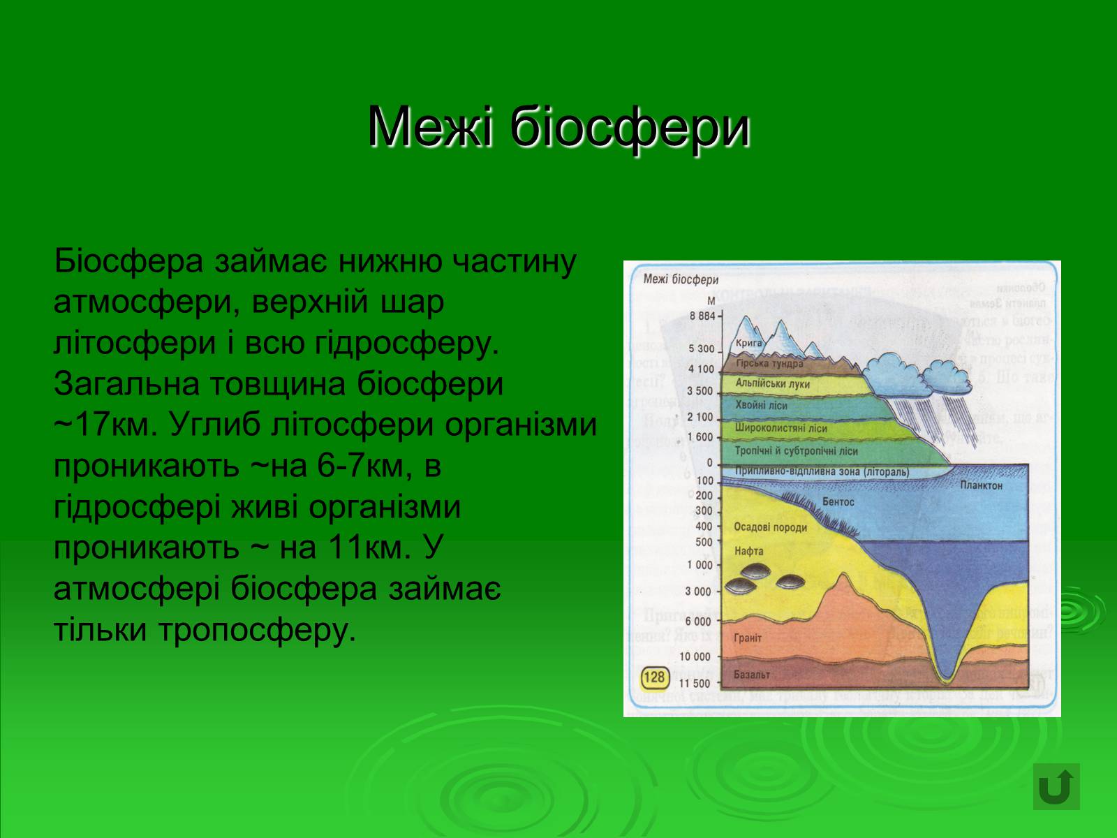 Презентація на тему «Поняття про біосферу» (варіант 1) - Слайд #22