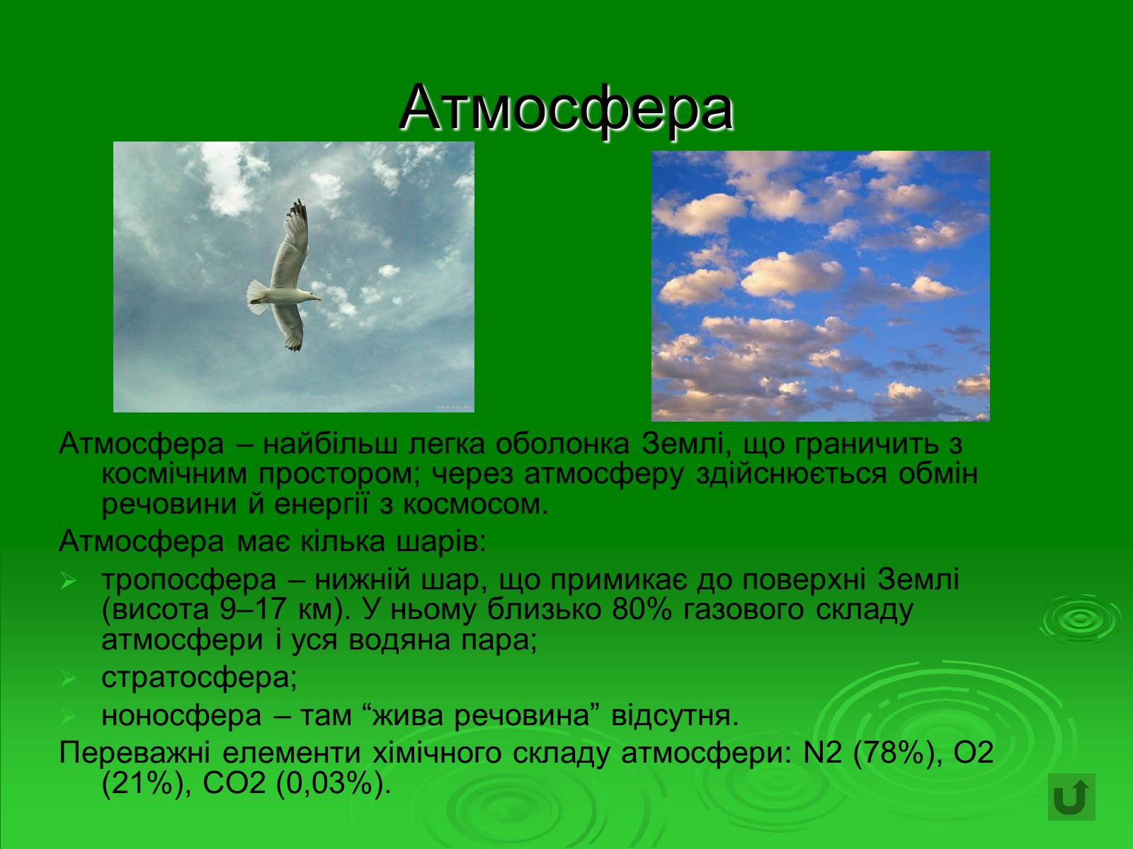 Презентація на тему «Поняття про біосферу» (варіант 1) - Слайд #24
