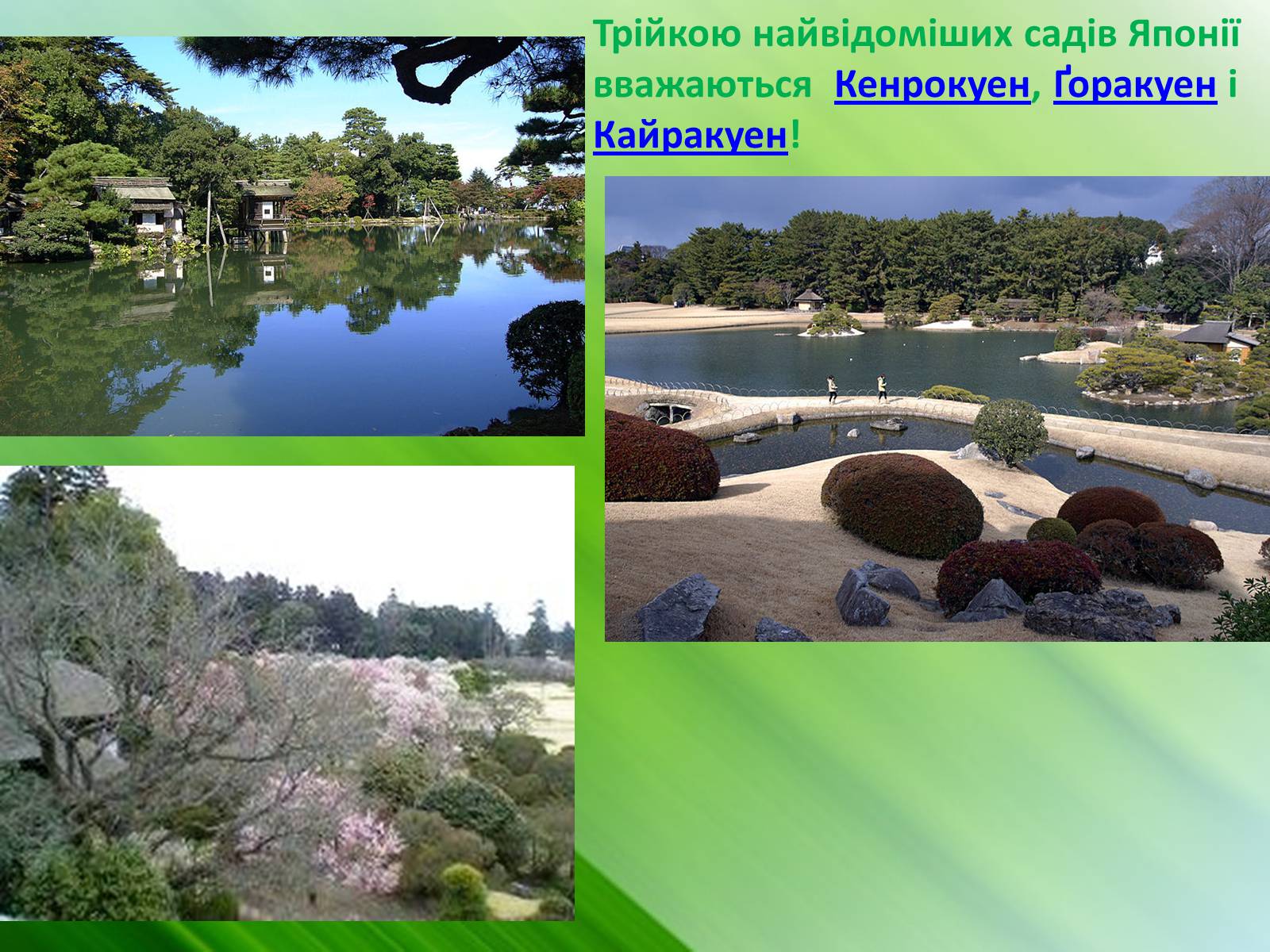 Презентація на тему «Садово-паркове мистецтво Японії» (варіант 2) - Слайд #6