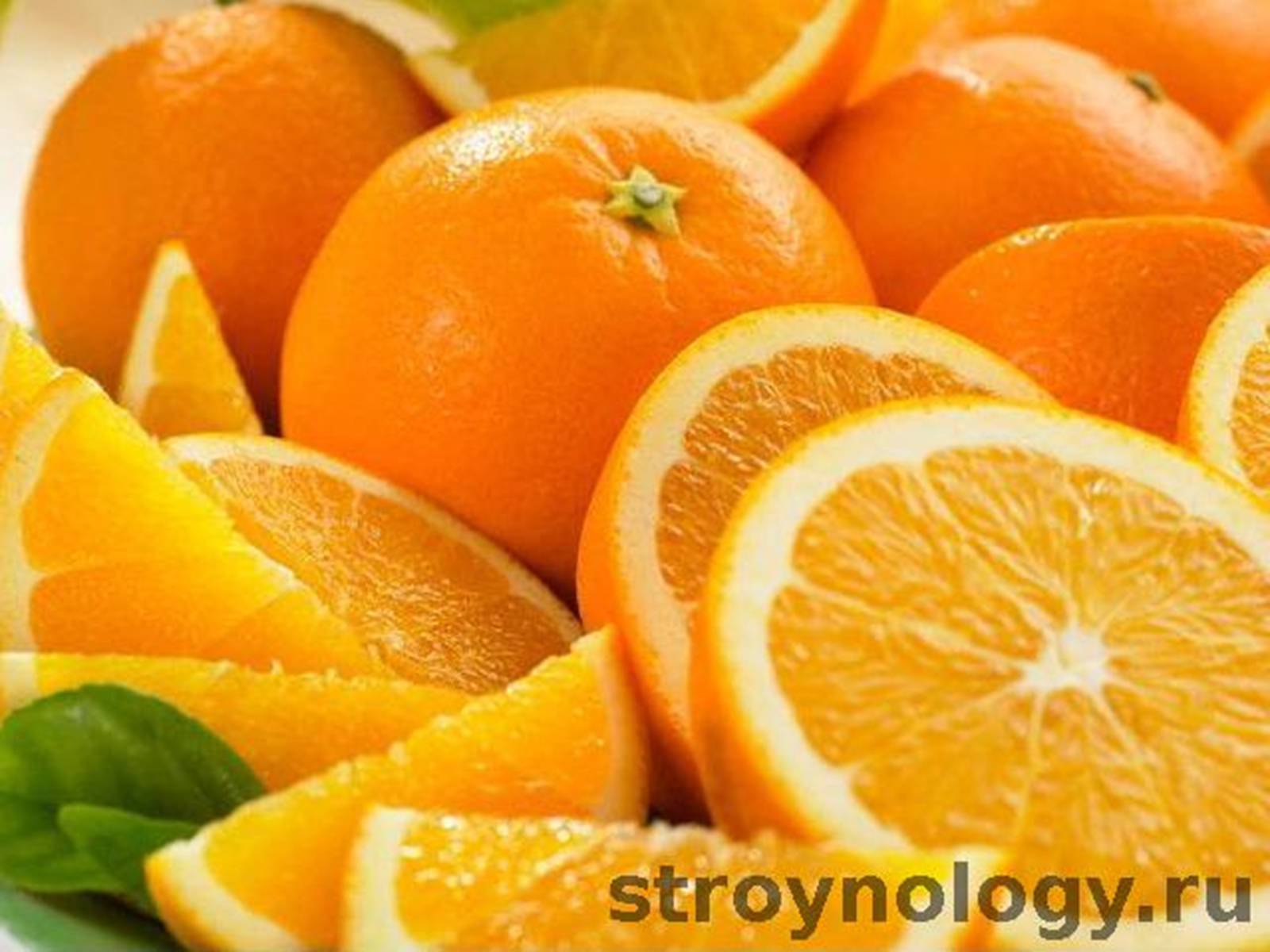 Презентація на тему «Історія відкриття вітамінів» - Слайд #15
