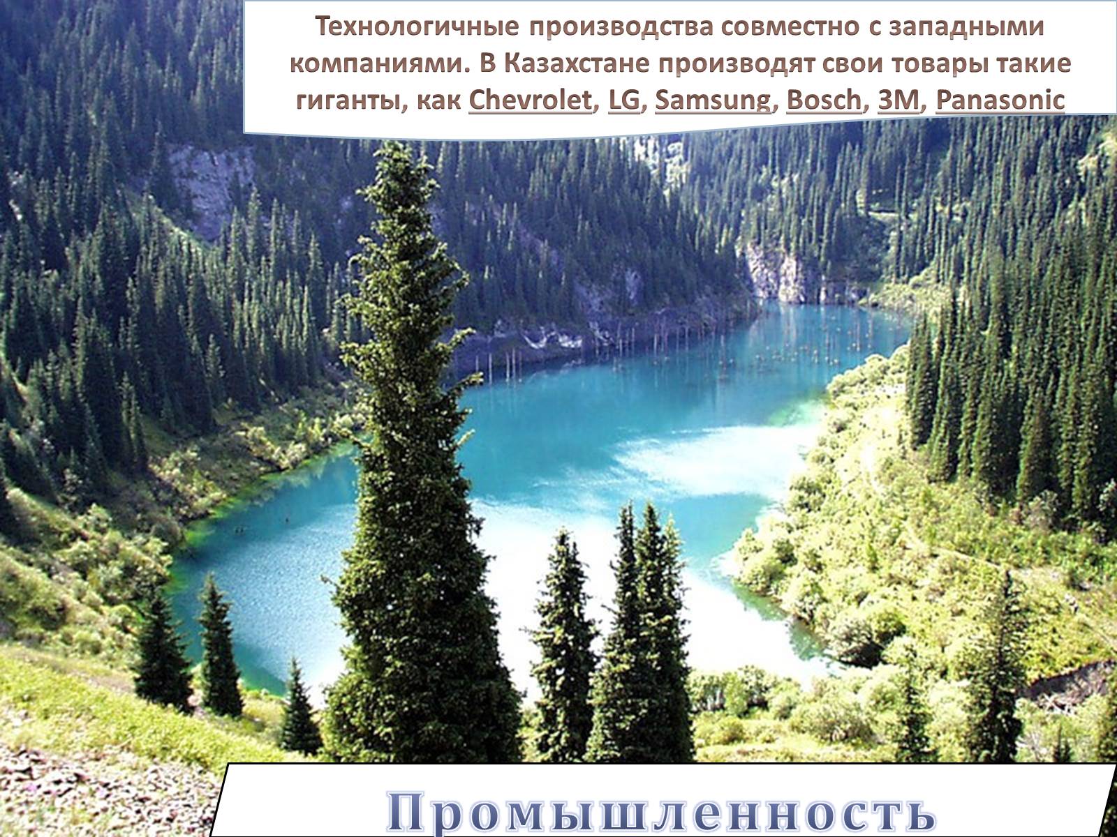 Лесные ресурсы Кыргызстана