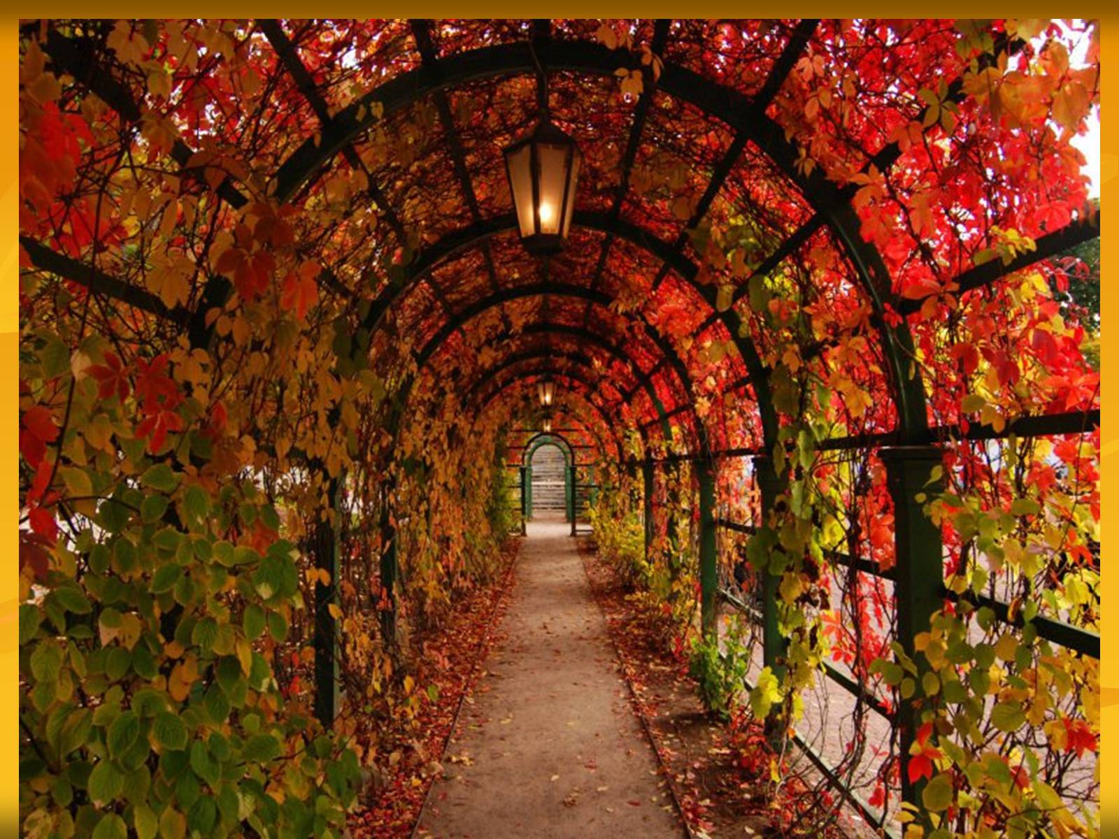 Куз на русском. Осенний сад. Арка осень. Красивые места. Осень фото.