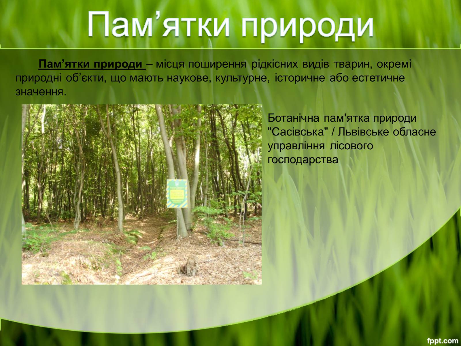 Презентація на тему «Природоохоронні території» (варіант 2) - Слайд #6
