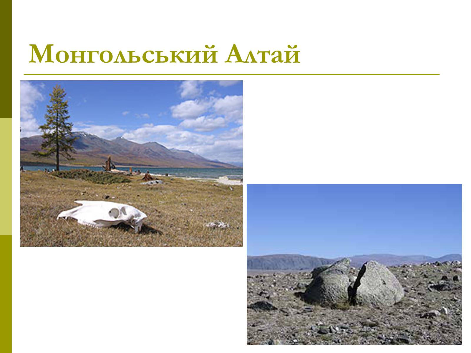 Презентація на тему «Монголія» (варіант 1) - Слайд #12