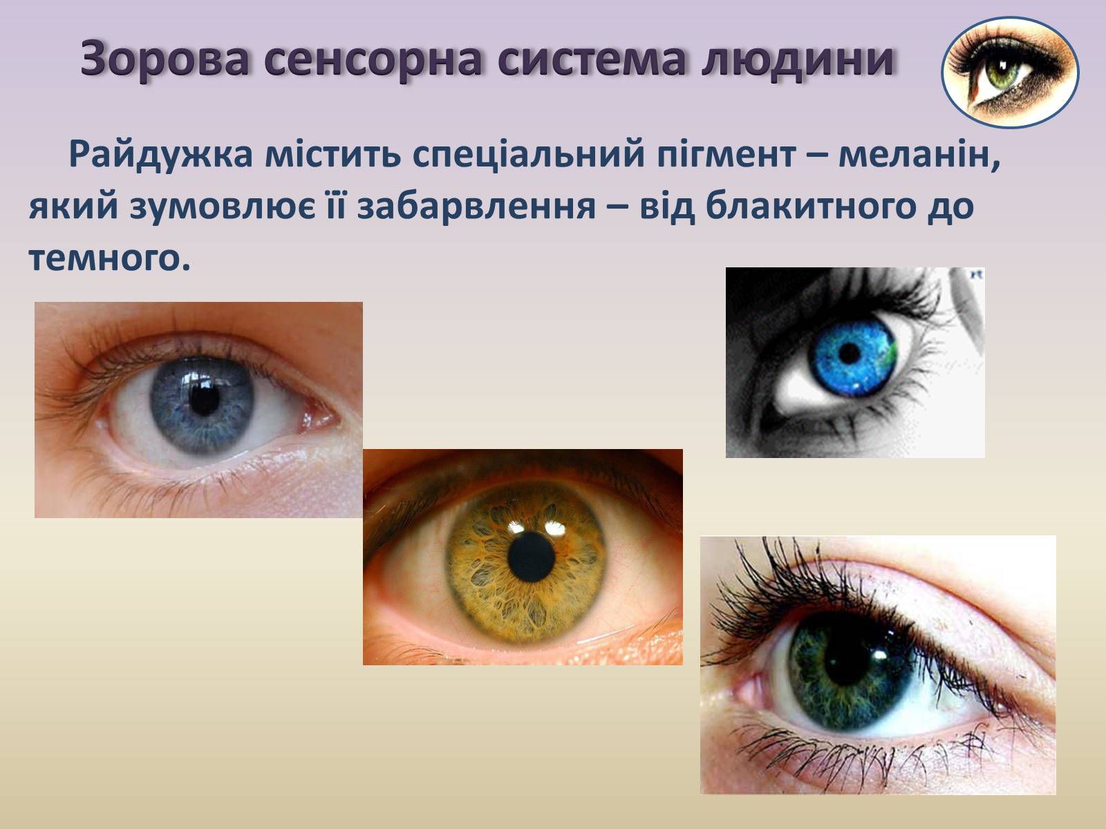 Презентація на тему «Сенсорна система ока» - Слайд #9