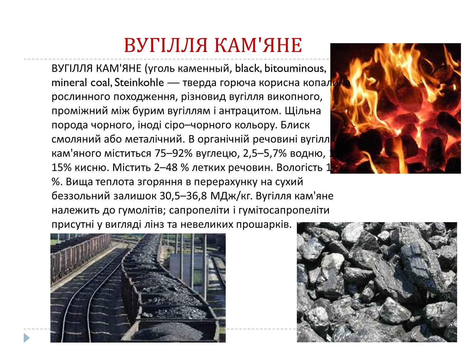 Презентація на тему «Кам’яне вугілля» (варіант 4) - Слайд #2