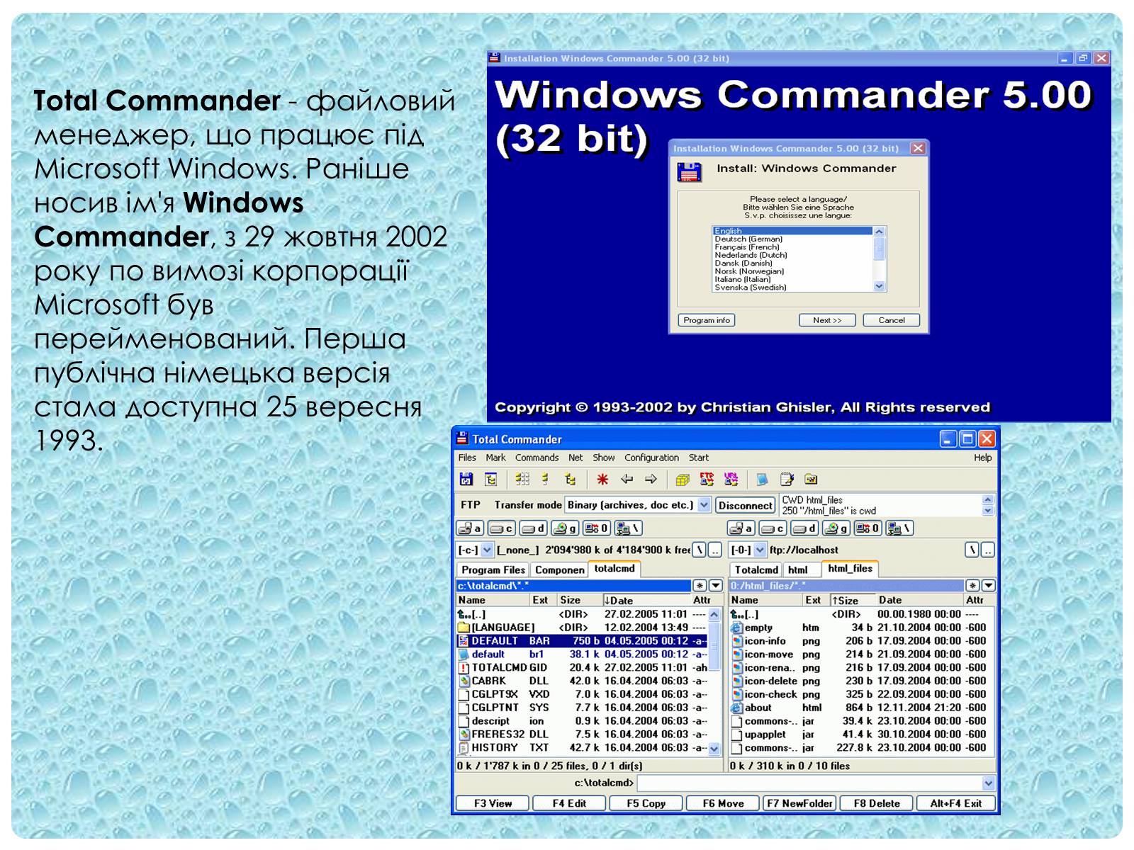 Презентація на тему «Робота з папками і текстовими файлами за допомогою вікна My Computer» - Слайд #14