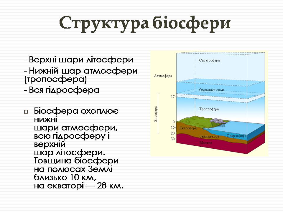 Презентація на тему «Біосфера» (варіант 12) - Слайд #3