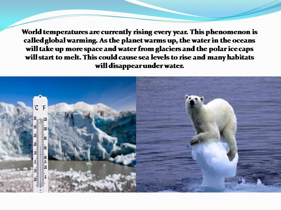 Презентація на тему «Ecological problems» (варіант 7) - Слайд #10