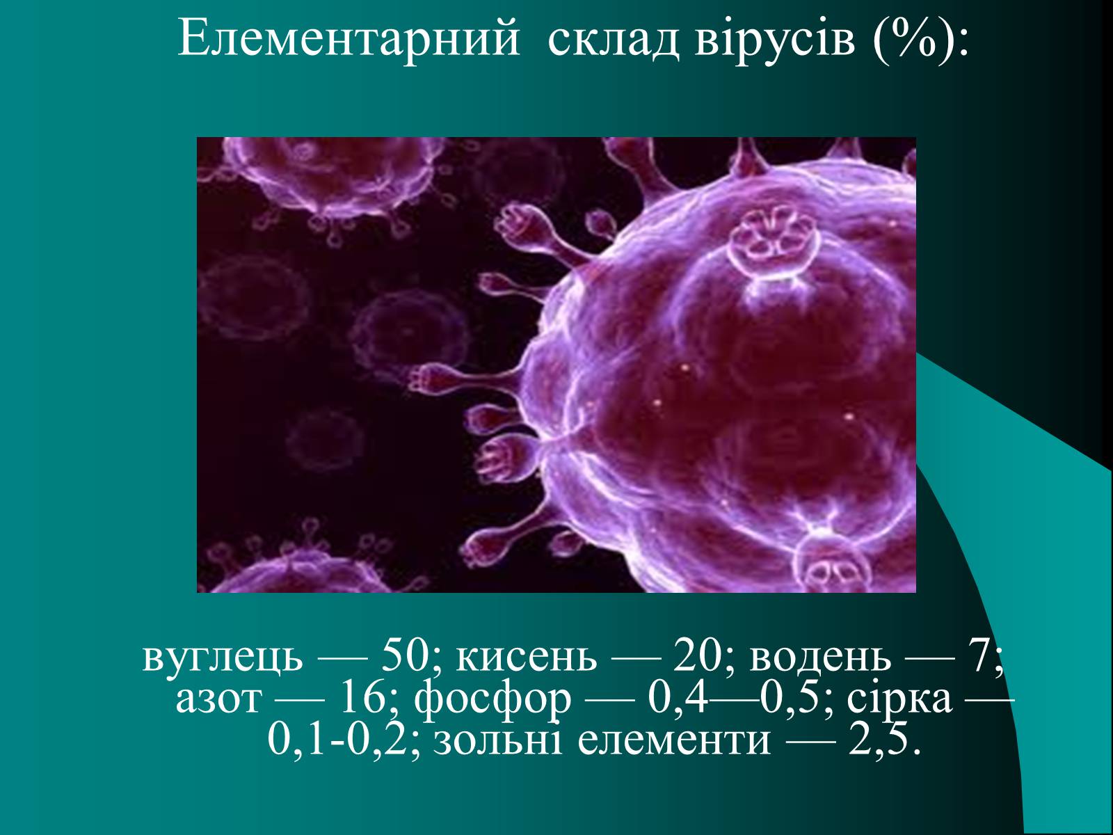 Презентація на тему «Віруси» (варіант 10) - Слайд #4
