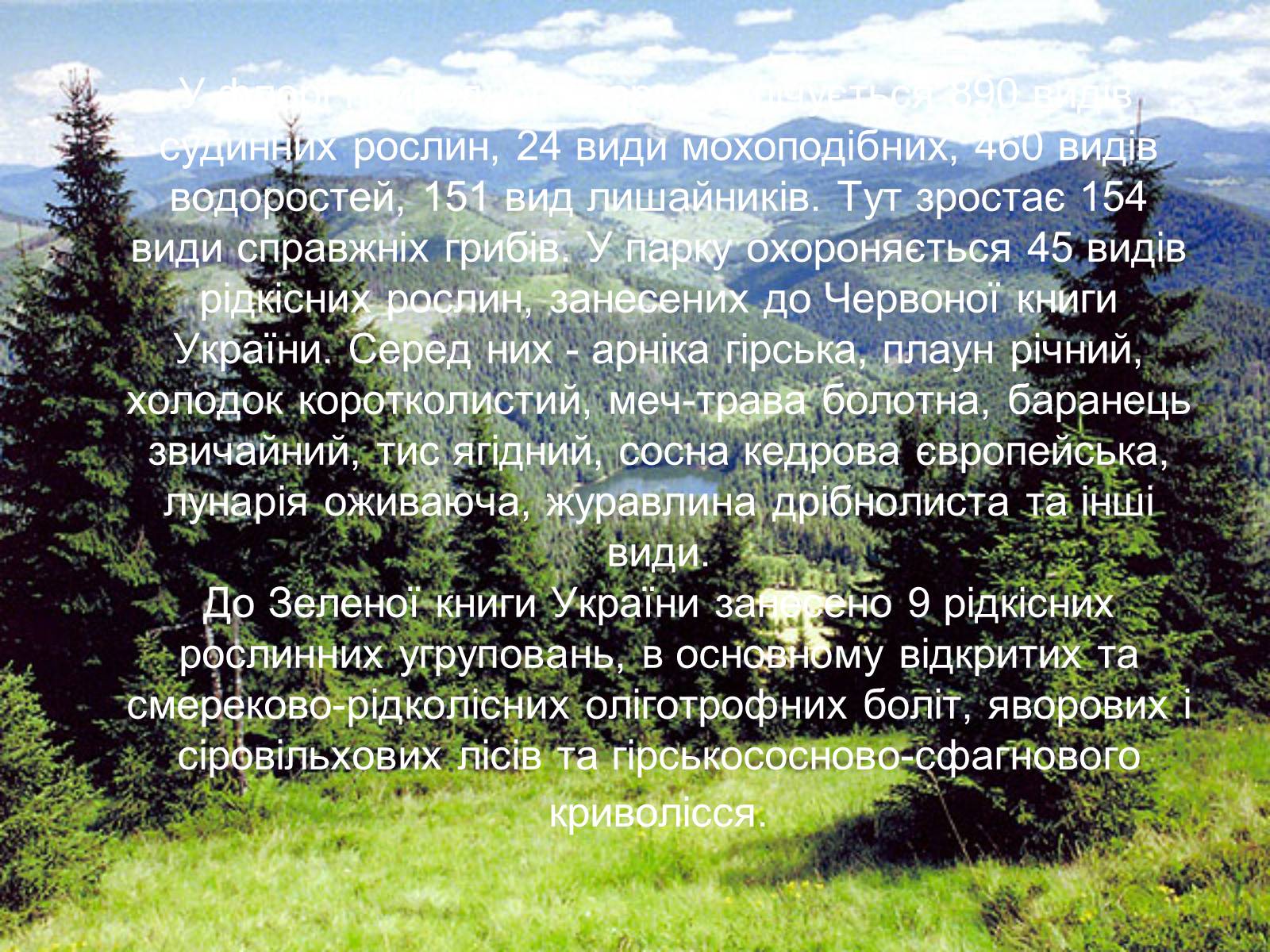 Презентація на тему «Національний природний парк “Синевир”» - Слайд #5