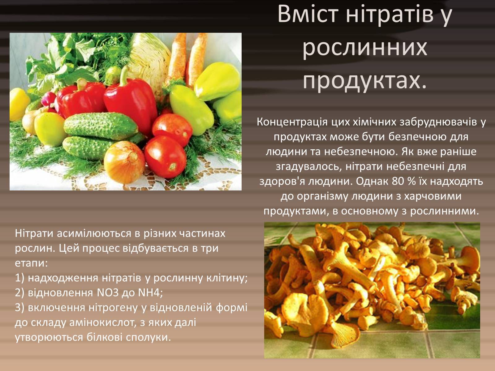Презентація на тему «Вміст нітратів у харчових продуктах» - Слайд #4