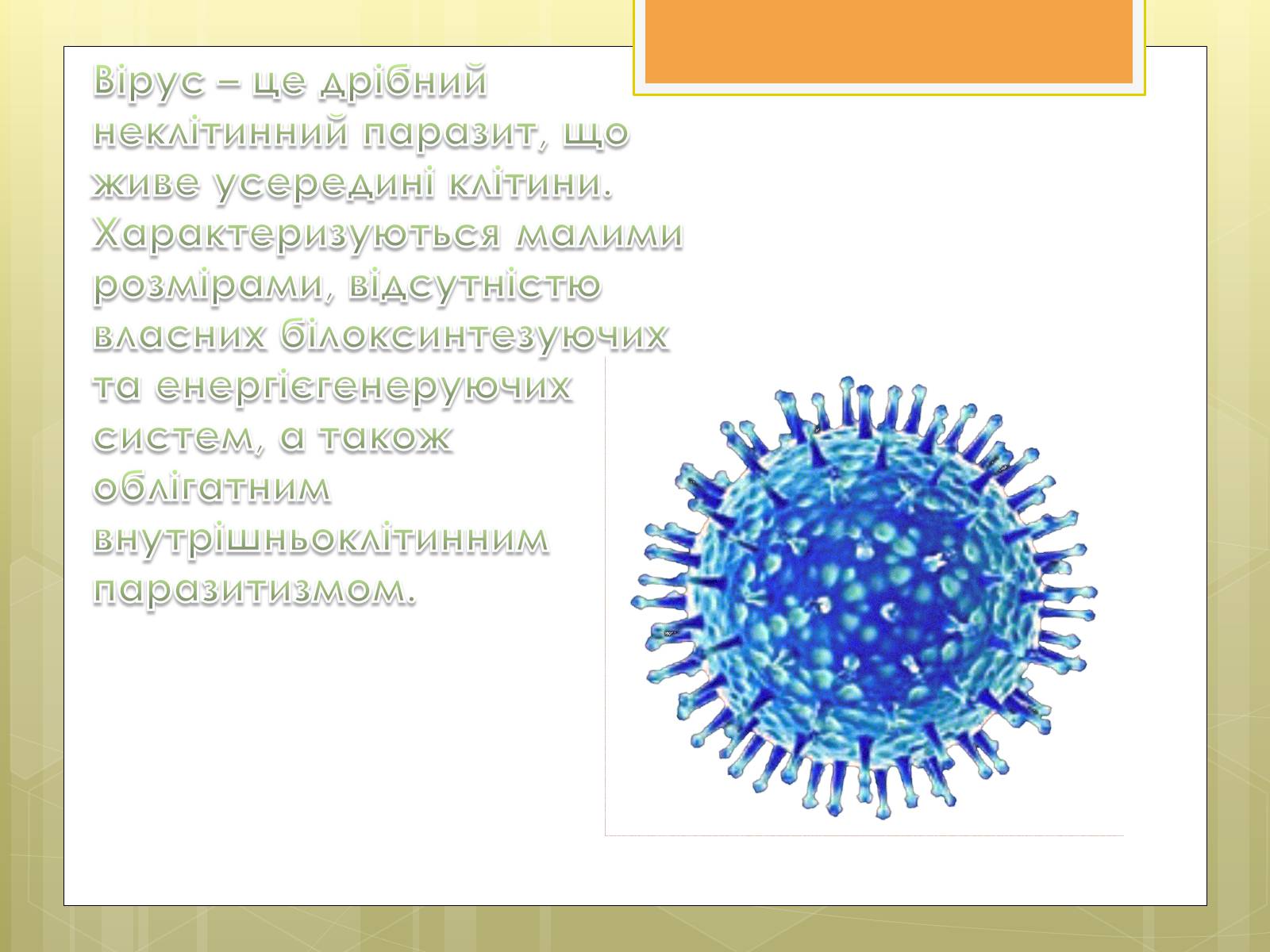Презентація на тему «Віруси» (варіант 11) - Слайд #2