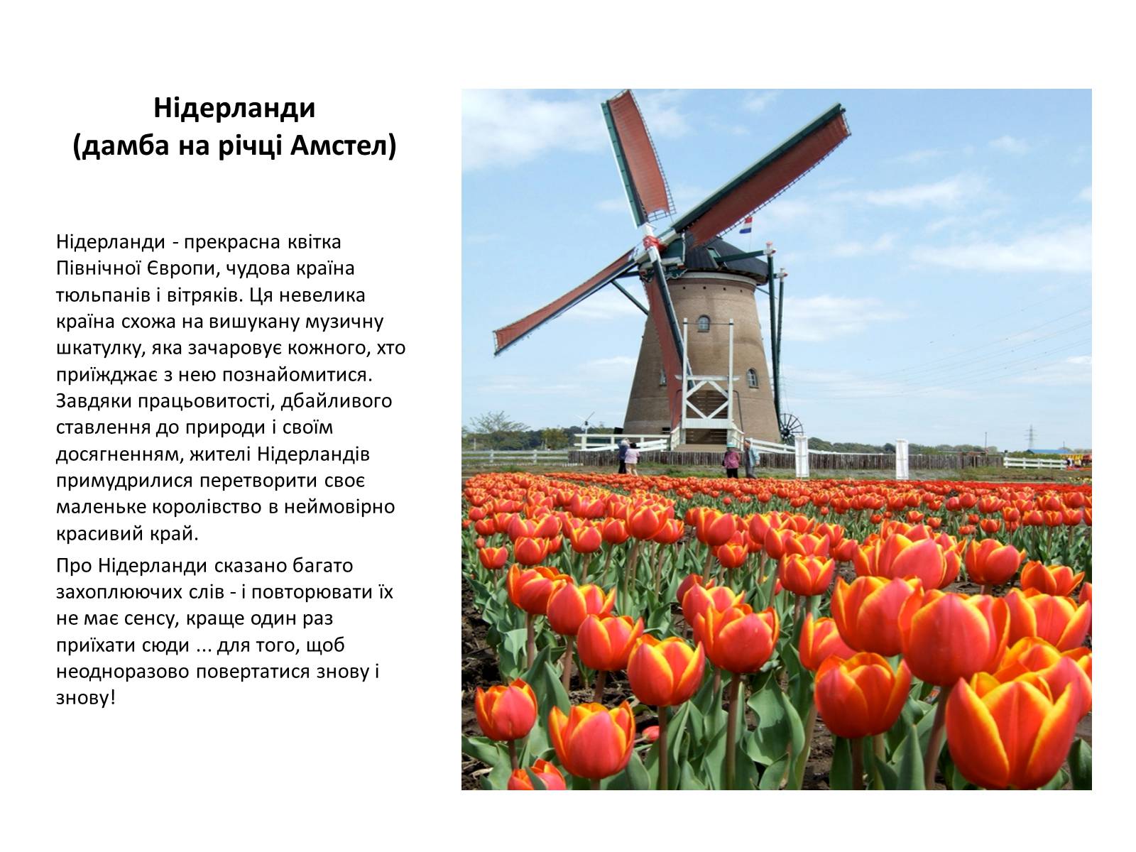 Презентація на тему «Нідерланди» (варіант 1) - Слайд #2