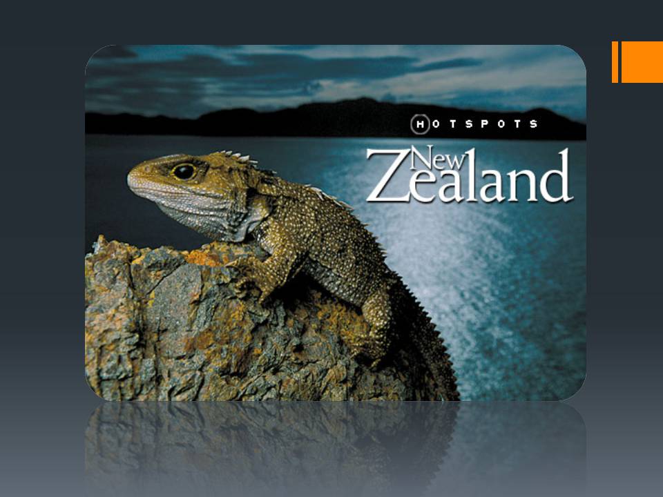 Презентація на тему «New Zeland» (варіант 2) - Слайд #1