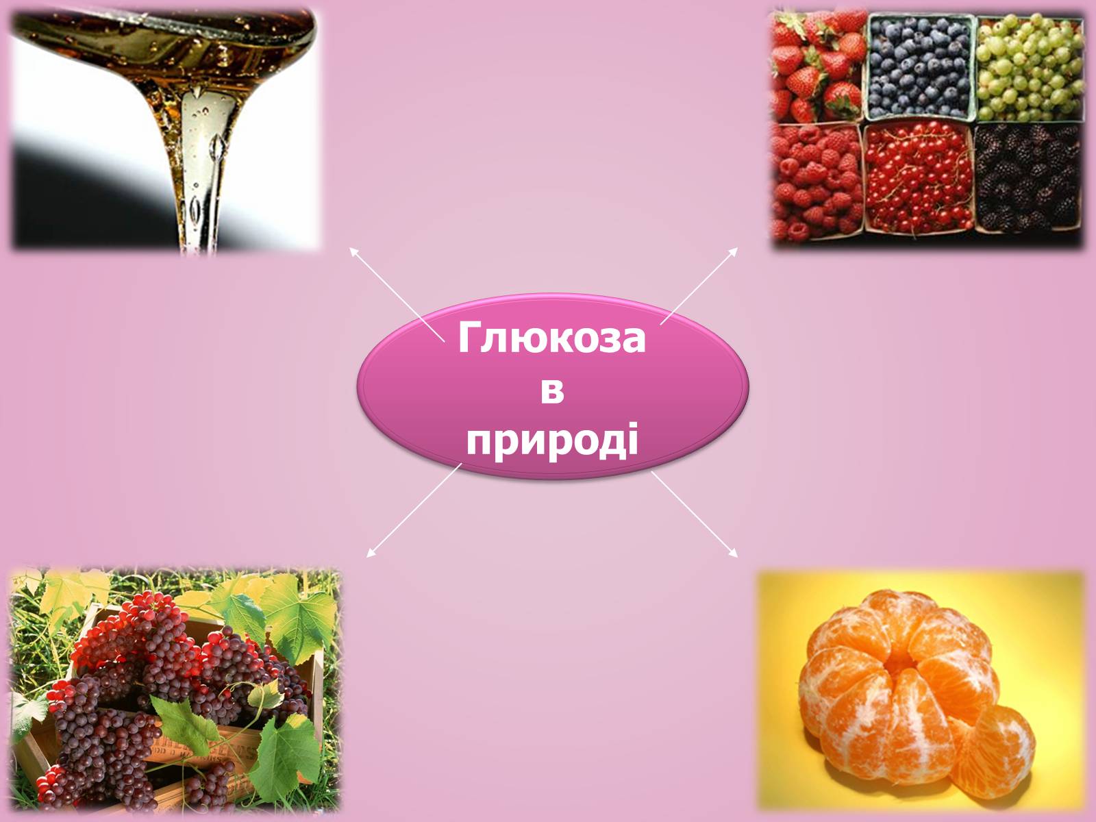 Презентація на тему «Вуглеводи як компоненти їжі, їх роль у житті людини» (варіант 28) - Слайд #9