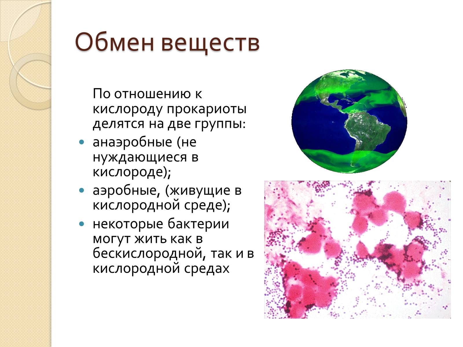 Презентація на тему «Прокариоты» (варіант 3) - Слайд #15