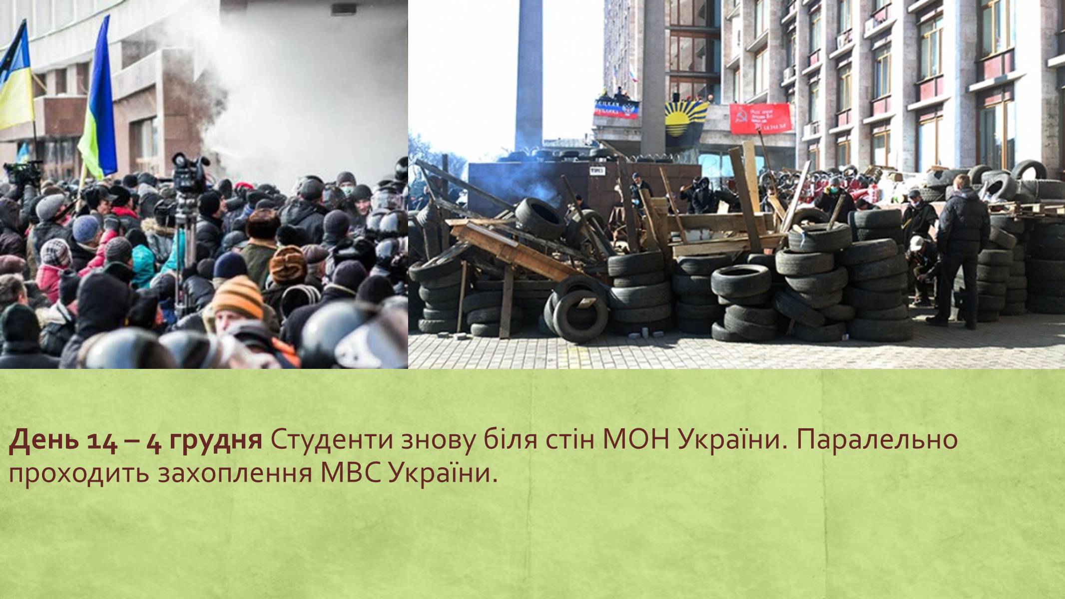 Презентація на тему «Хронологія Євромайдану 2013» - Слайд #14