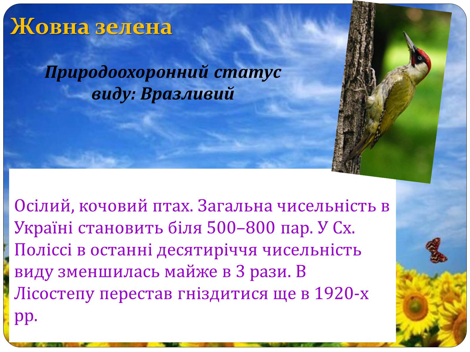 Презентація на тему «Птахи занесені до Червоної книги України» - Слайд #3