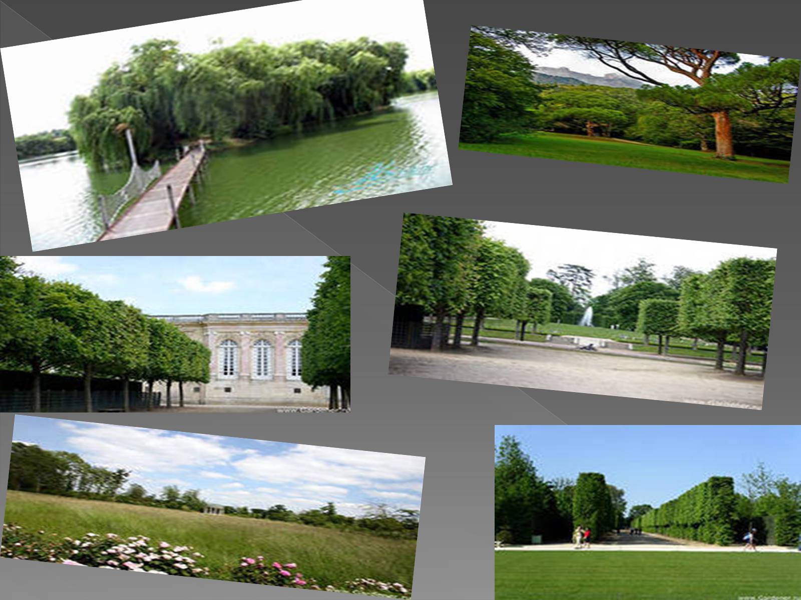 Презентація на тему «Палацово-парковий комплекс» - Слайд #13