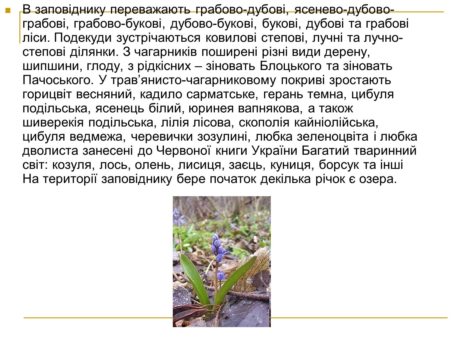 Презентація на тему «Природно-заповідний фонд України» (варіант 2) - Слайд #15